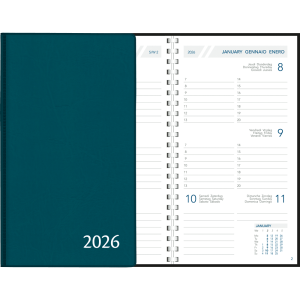 Zakagenda Visuplan 2026 perl blauwgroen