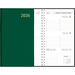 Zakagenda Visuplan 2026 perl groen