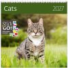 Muurkalender Cats 2027