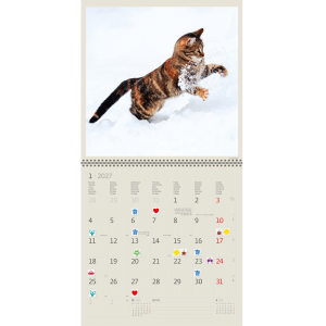 Muurkalender Cats 2027 - Januari