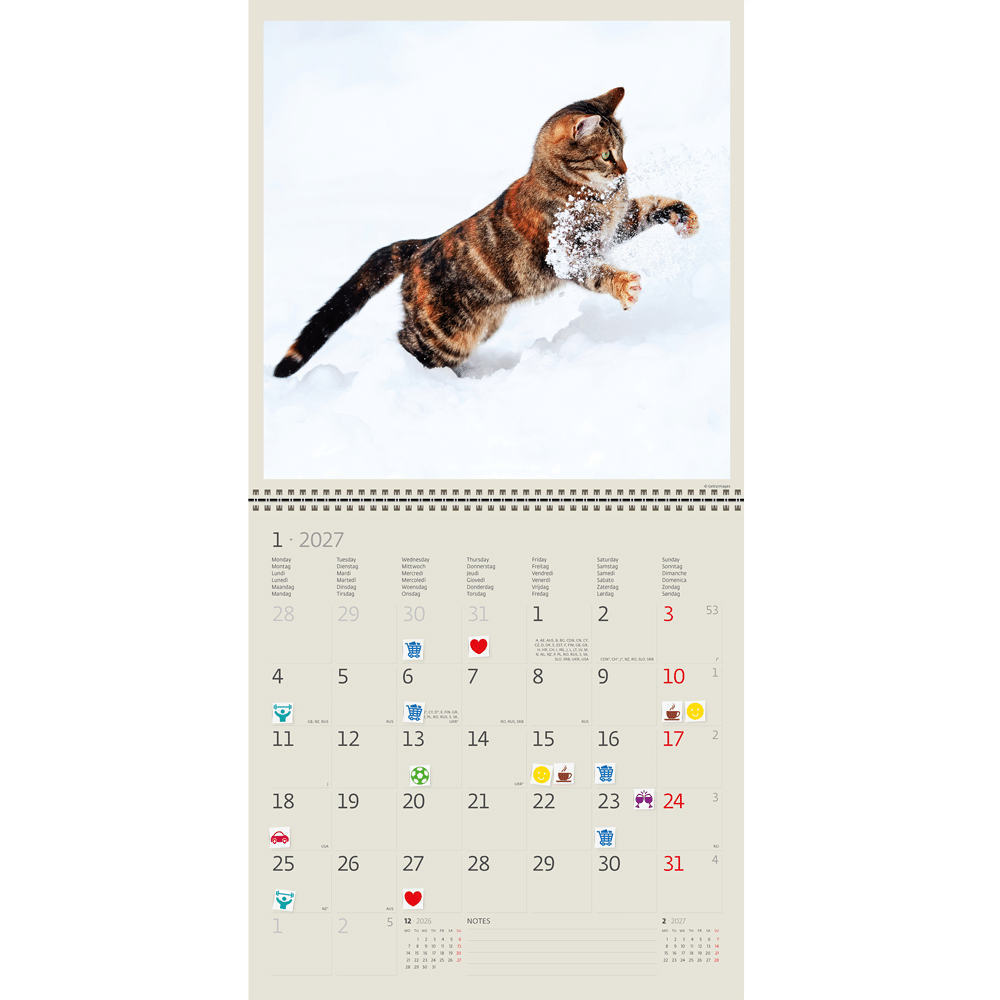 Muurkalender Cats 2027 - Januari