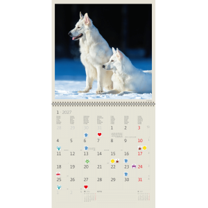 Muurkalender Dogs 2027 - Januari