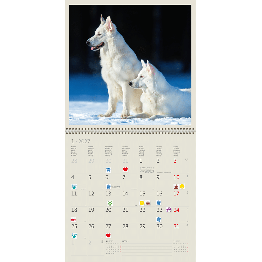 Muurkalender Dogs 2027 - Januari