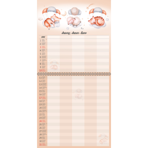 Muurkalender Family Planner 2027 - Januari volledig