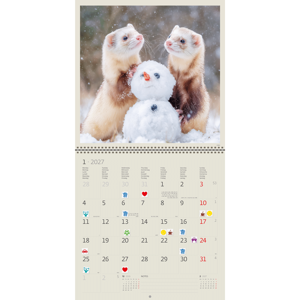 Muurkalender Little Fun 2027 - Januari