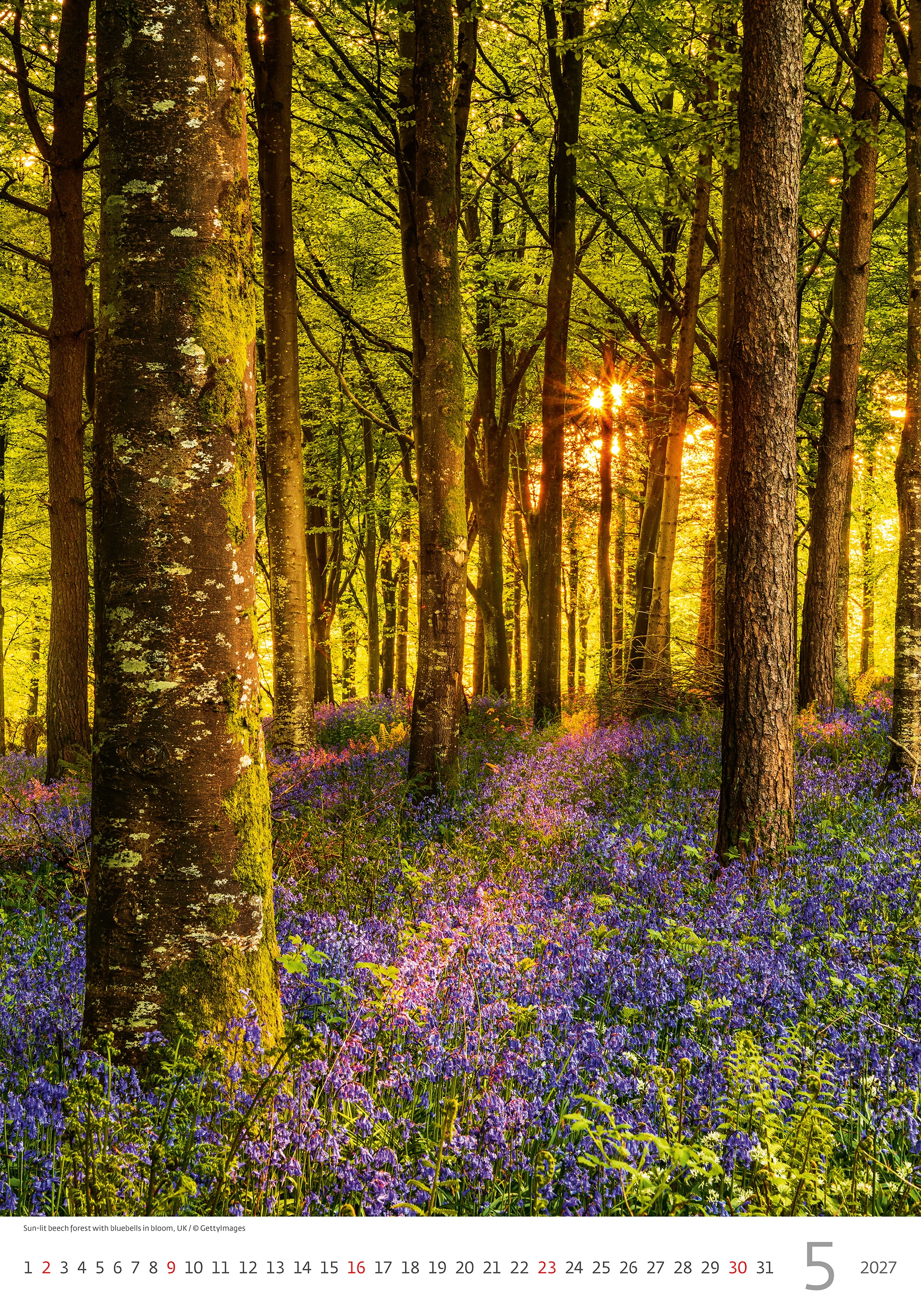 Muurkalender Nature Emotions 2027 - Mei