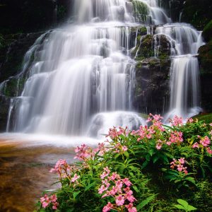 Muurkalender Nature Emotions 2027 - Juli