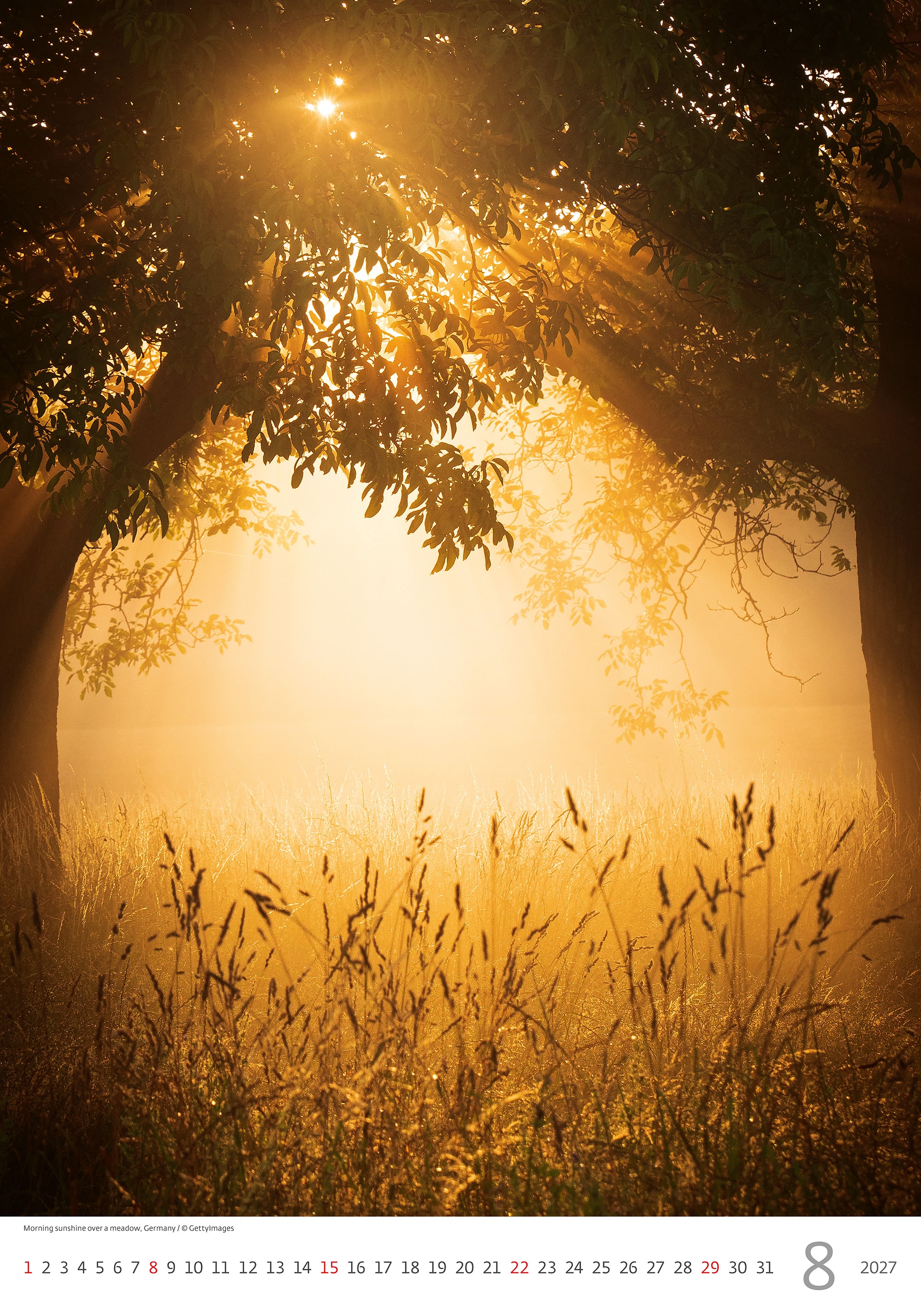 Muurkalender Nature Emotions 2027 - Augustus