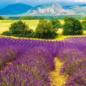 Muurkalender Provence 2027 - Oktober