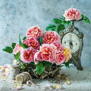 Muurkalender Live Design 2027 - Juni