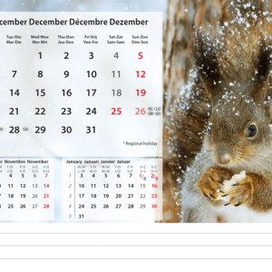 Kantoorkalender Beautiful Nature 2027 - December