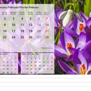 Kantoorkalender Beautiful Nature 2027 - Februari