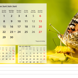 Kantoorkalender Beautiful Nature 2027 - Juni