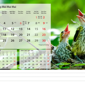Kantoorkalender Beautiful Nature 2027 - Mei