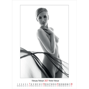 Muurkalender pin-up Female Art 2027 - Februari