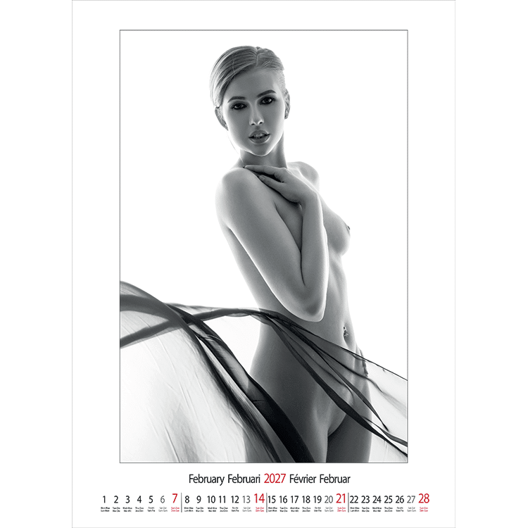 Muurkalender pin-up Female Art 2027 - Februari