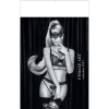 Muurkalender Pin-up Female Art 2027