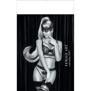 Muurkalender Pin-up Female Art 2027