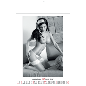 Muurkalender pin-up Female Art 2027 - Januari