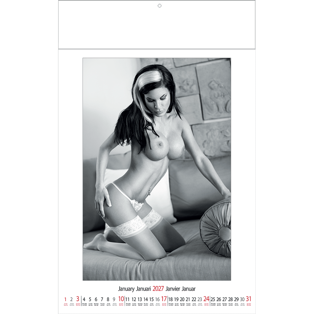 Muurkalender pin-up Female Art 2027 - Januari