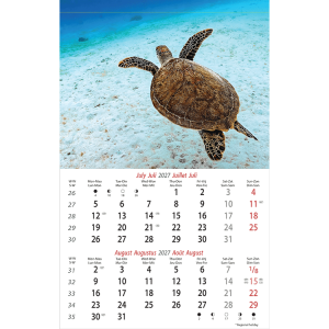 Muurkalender Wildlife 2027 - Juli
