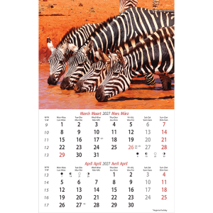 Muurkalender Wildlife 2027 - Maart