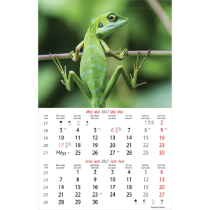 Muurkalender Wildlife 2027 - Mei