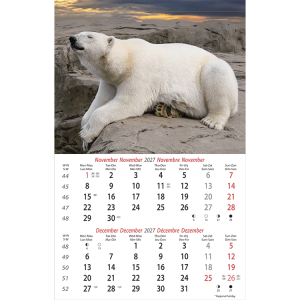 Muurkalender Wildlife 2027 - November