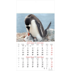 Muurkalender Wildlife 2027