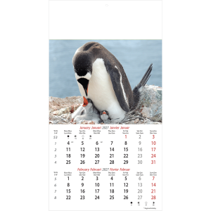 Muurkalender Wildlife 2027