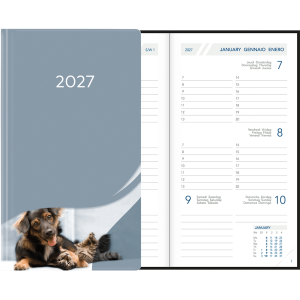 Visuplan 2027 Hardcover grijs