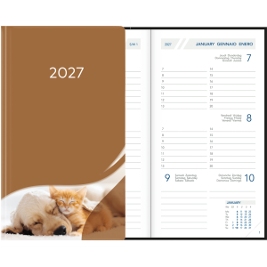 Visuplan 2027 Hardcover bruin