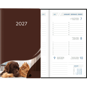 Visuplan 2027 Hardcover donkerbruin