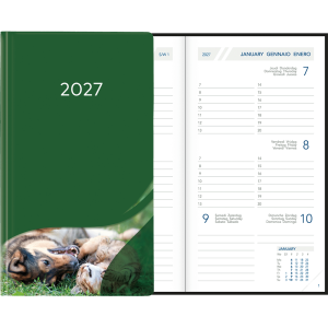 Visuplan 2027 Hardcover groen